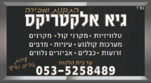 גיא אלקטריקס