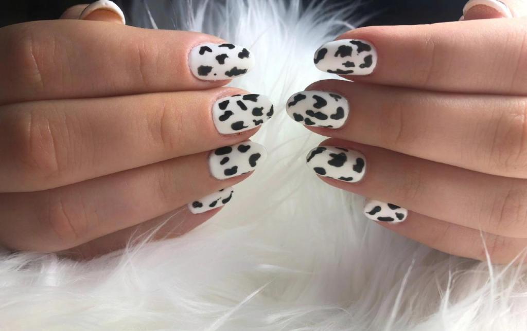 גלית לוי גלית לוי