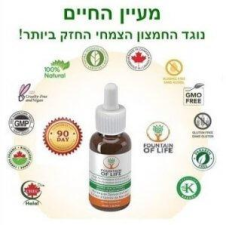 ד"ר איתן לוי PhD  מנוהל