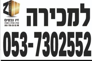 זיו נכסים