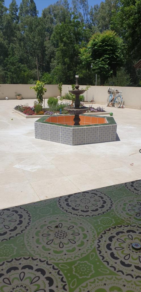 ניסים תמם ניסים תמם