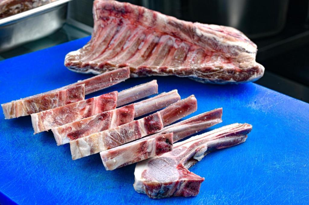 עולם הבשר עולם הבשר