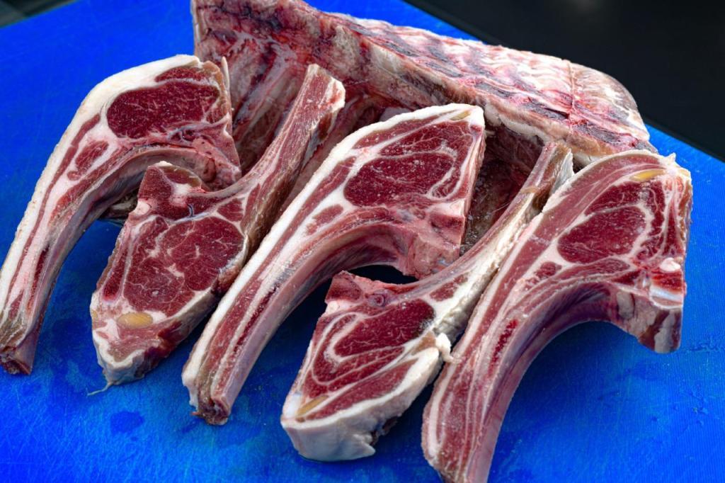 עולם הבשר עולם הבשר