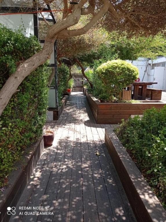 טבע לחיים ליקוטי נוף טבע לחיים ליקוטי נוף