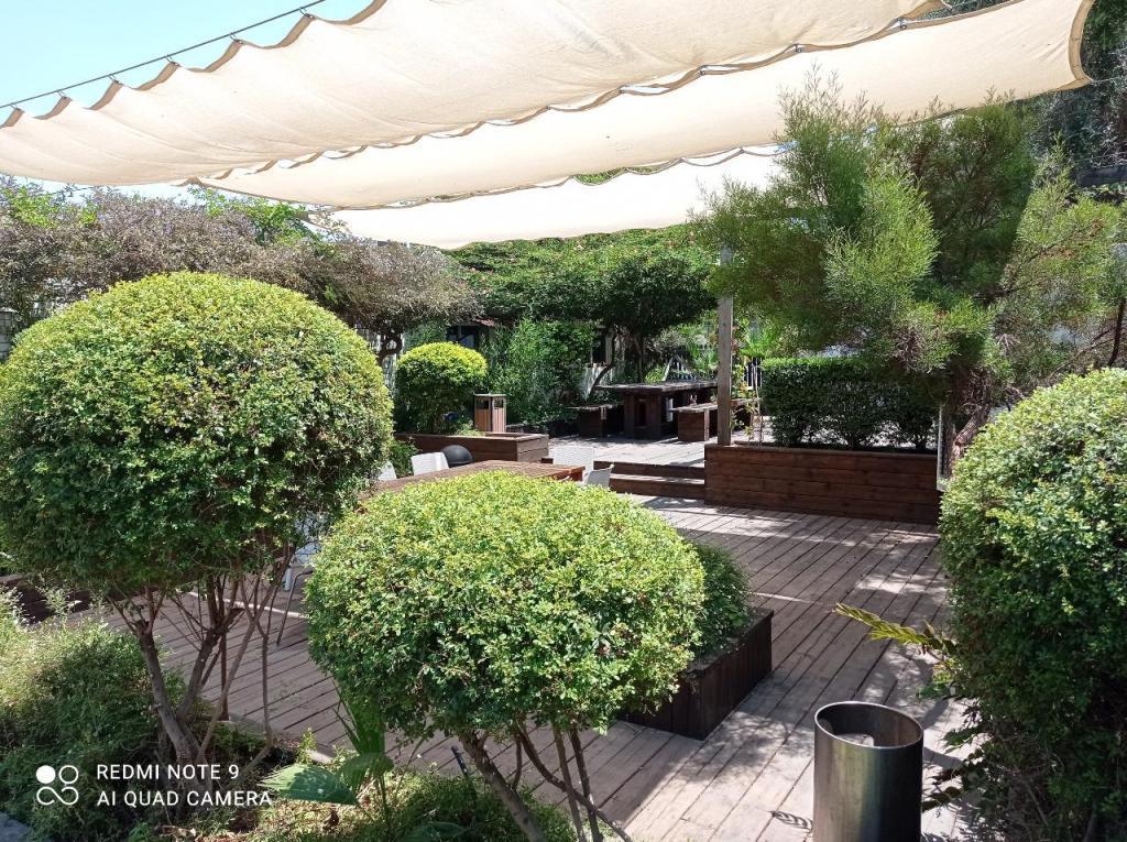 טבע לחיים ליקוטי נוף טבע לחיים ליקוטי נוף