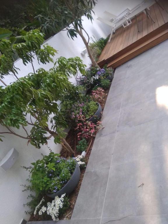 טבע לחיים ליקוטי נוף טבע לחיים ליקוטי נוף