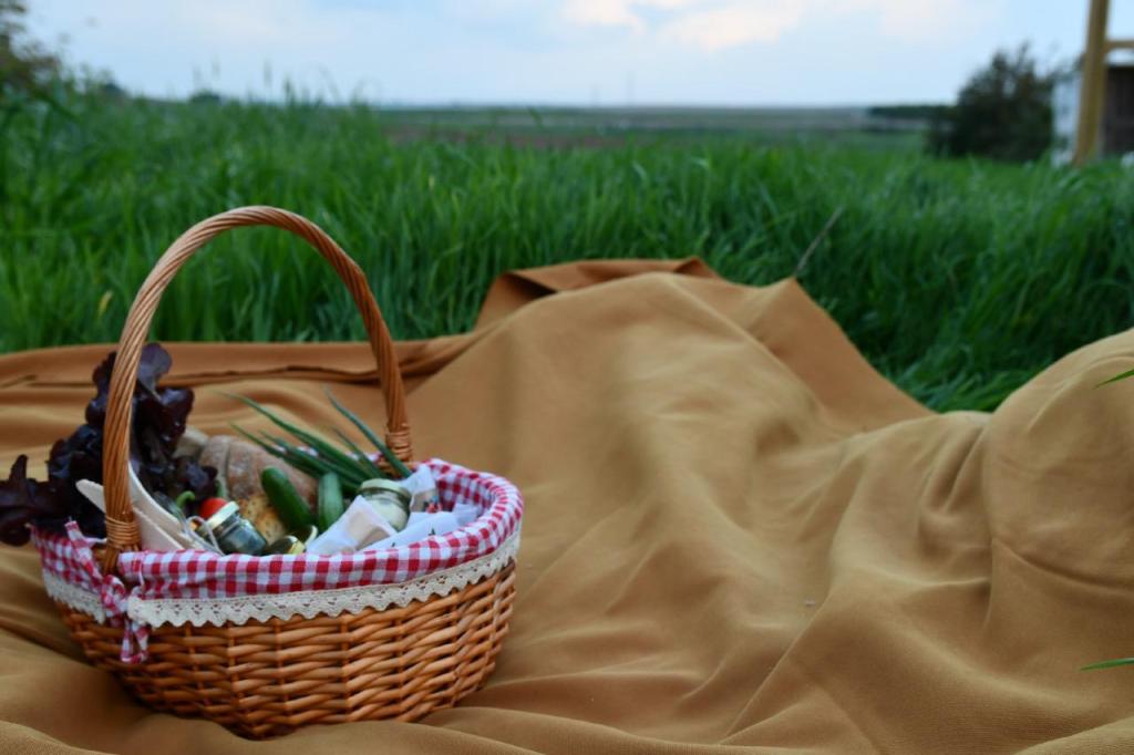 הכנאפה של ניבה הכנאפה של ניבה
