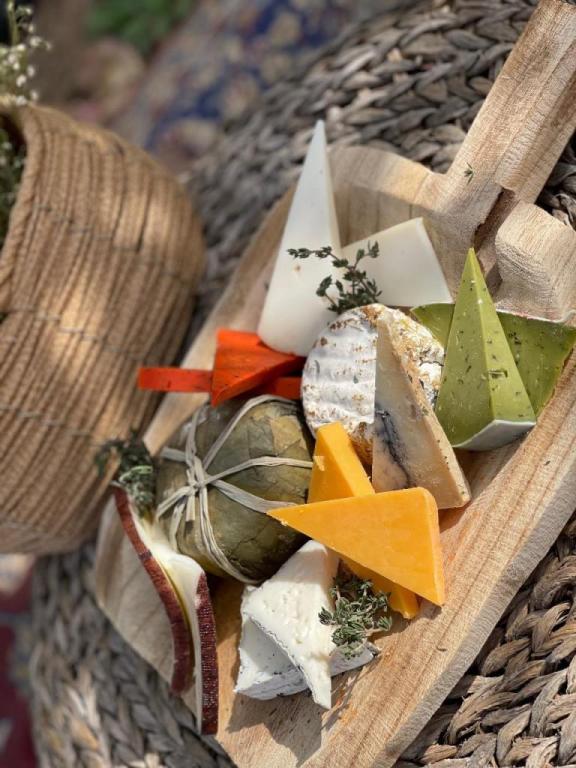 הכנאפה של ניבה הכנאפה של ניבה