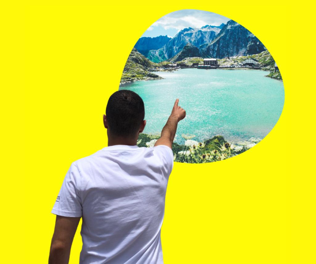 תוכניסט תוכניסט