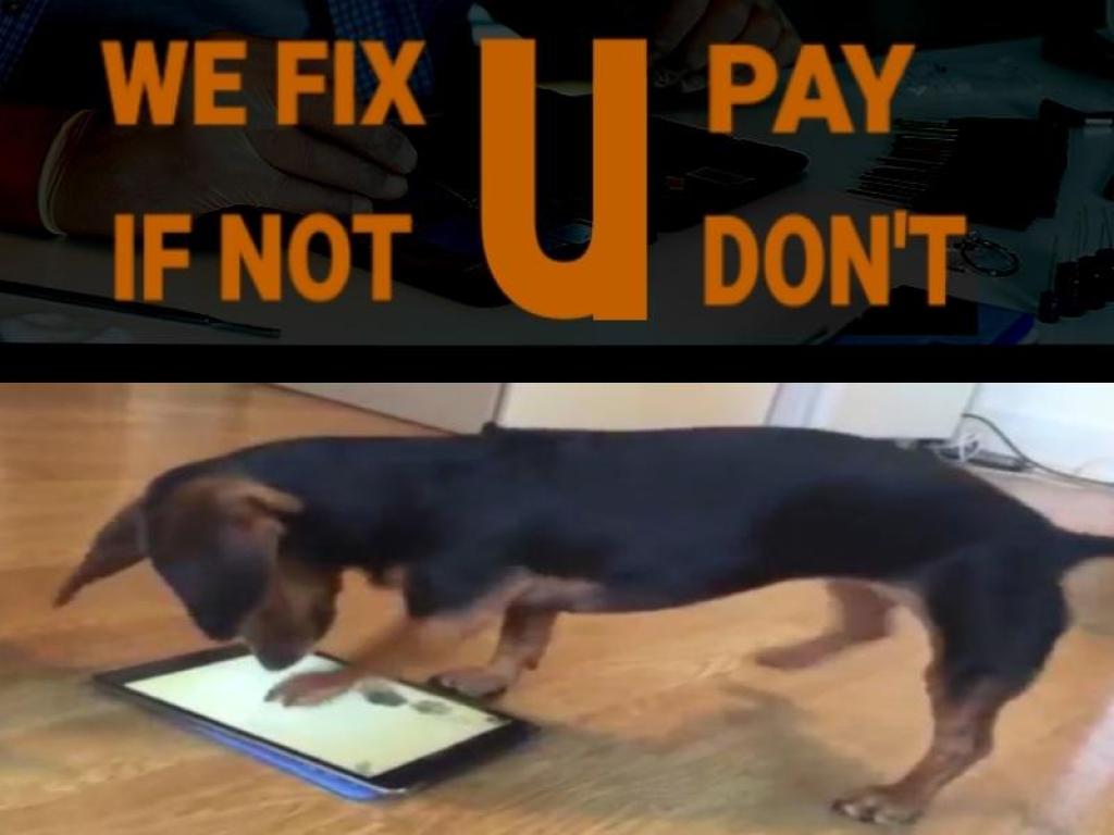 Mobile experts Mobile experts