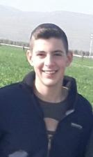 אריאל צמחי מרפא