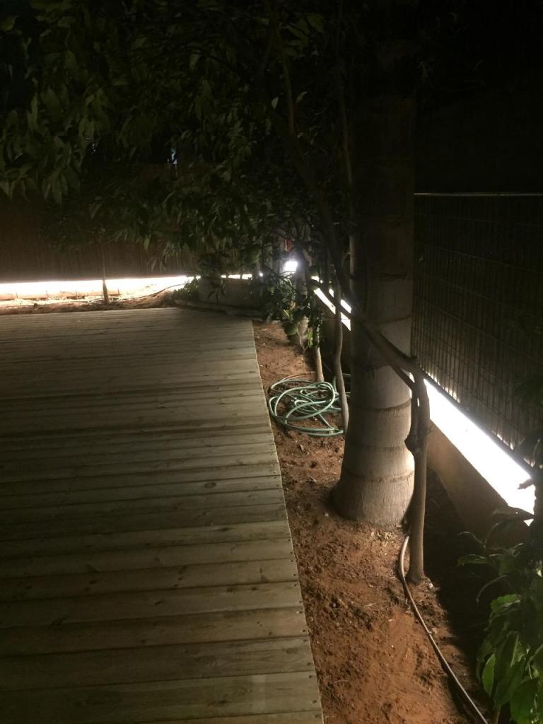 ארץ פרי ארץ פרי