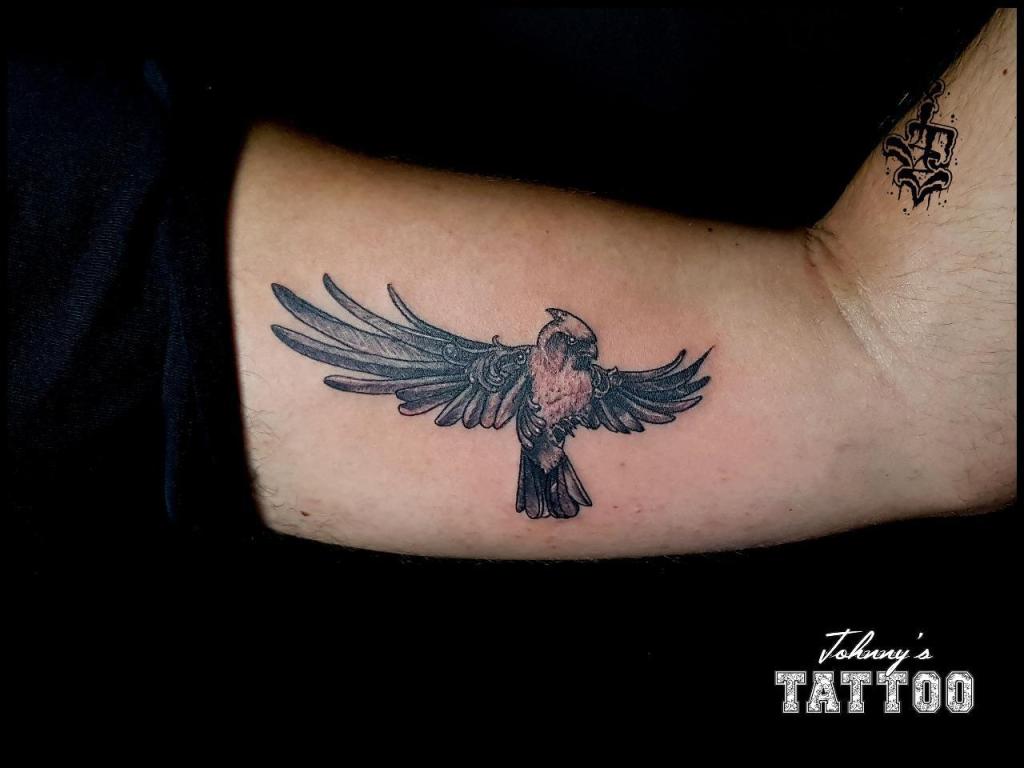 21 ג'וני קעקועים 21 ג'וני קעקועים