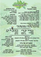 ג'ונגל בר