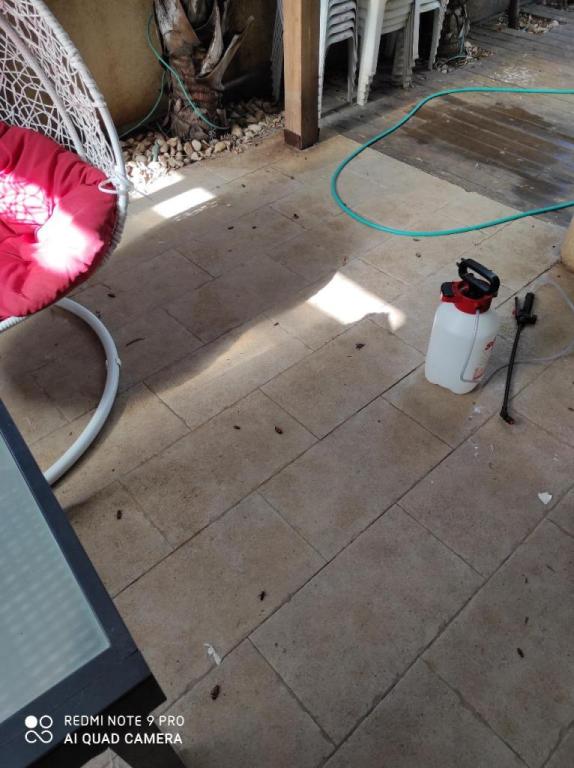 תמיר הדברות תמיר הדברות