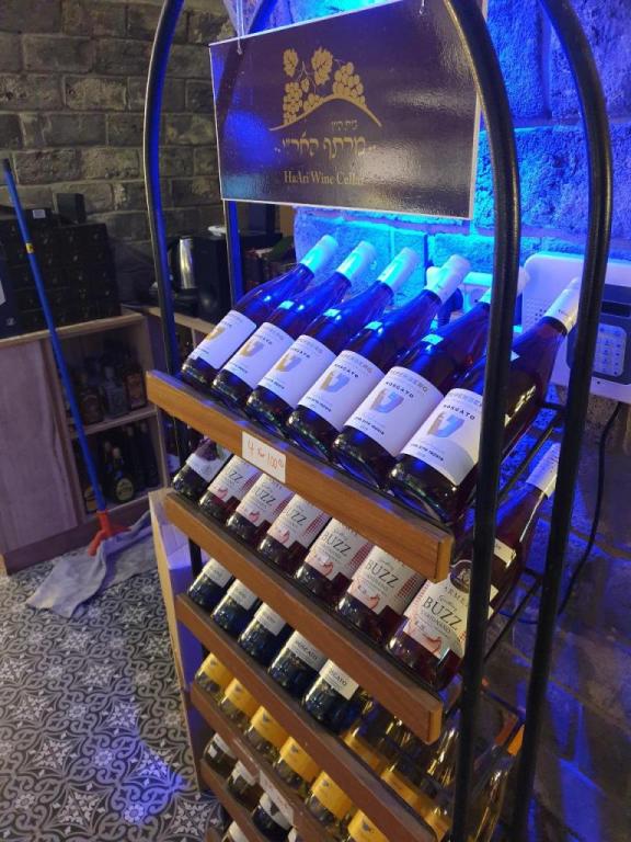 מרתף האר"י מרתף האר"י