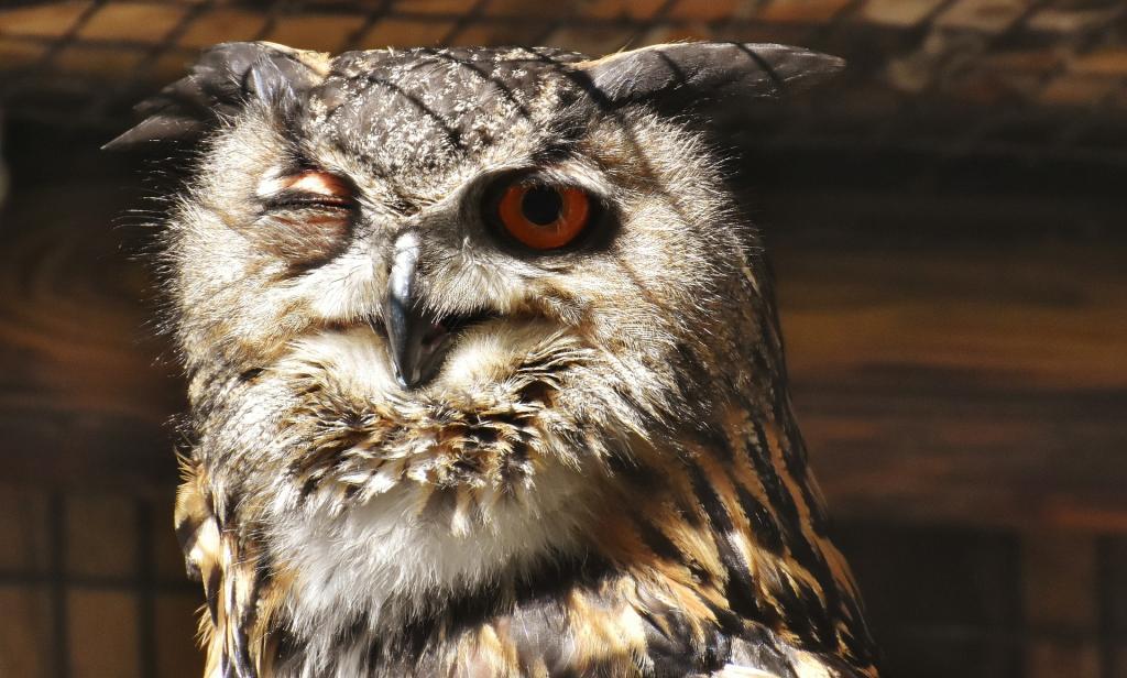 WDM Web Design Marketing WDM Web Design Marketing