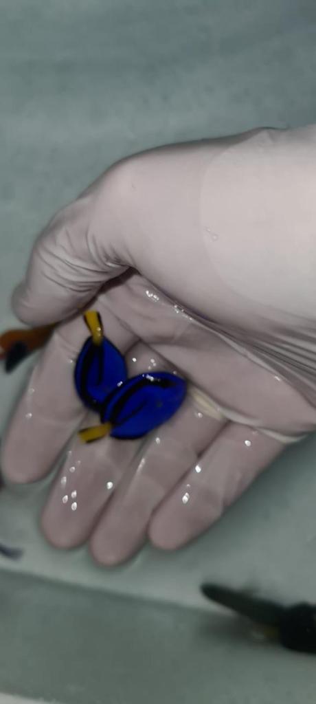 אקווריום בעמקים אקווריום בעמקים