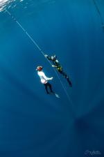 Sagi Freedive