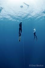 Sagi Freedive