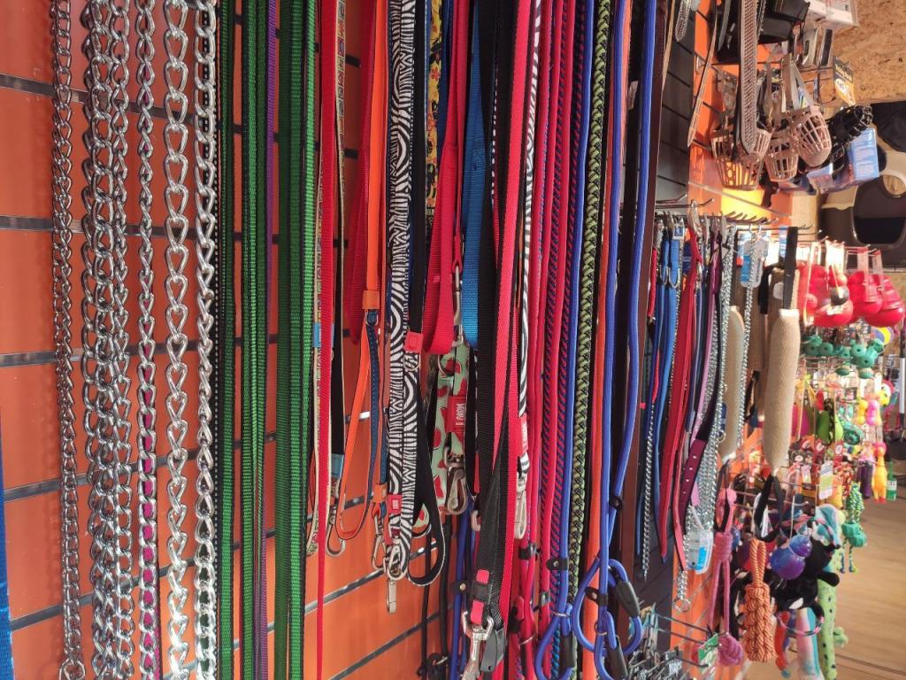 חיות ברמה חיות ברמה