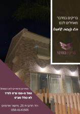 בריקים במדבר