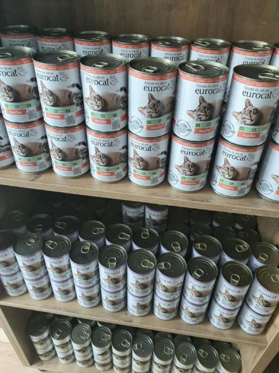 פטפארם פטפארם