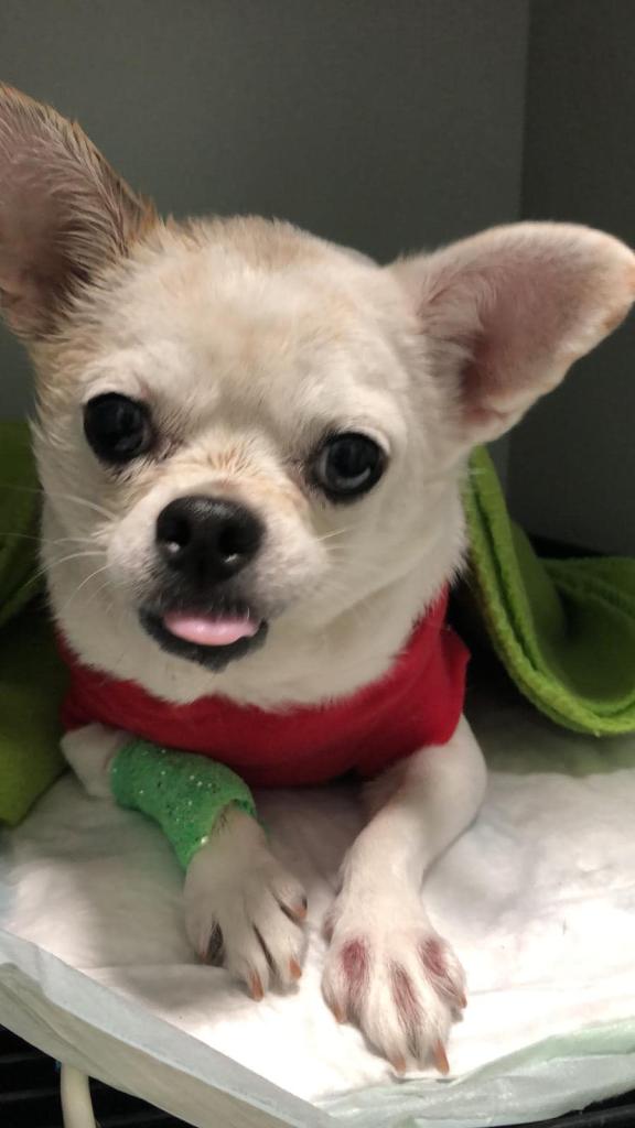 אמיגו מרפאה וטרינרית אמיגו מרפאה וטרינרית