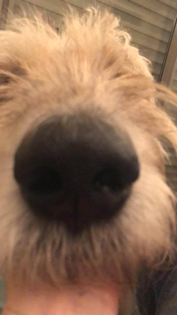 אמיגו מרפאה וטרינרית אמיגו מרפאה וטרינרית