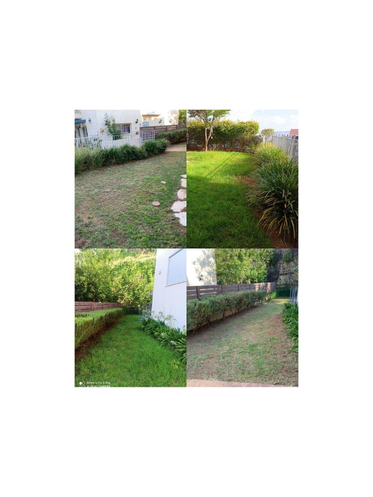 Y.M Garden Design Y.M Garden Design