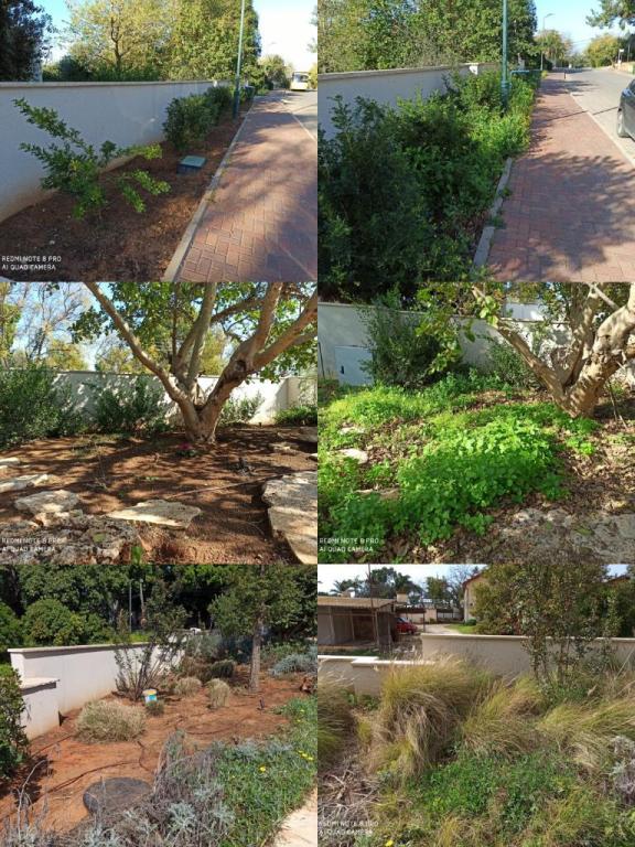 Y.M Garden Design Y.M Garden Design