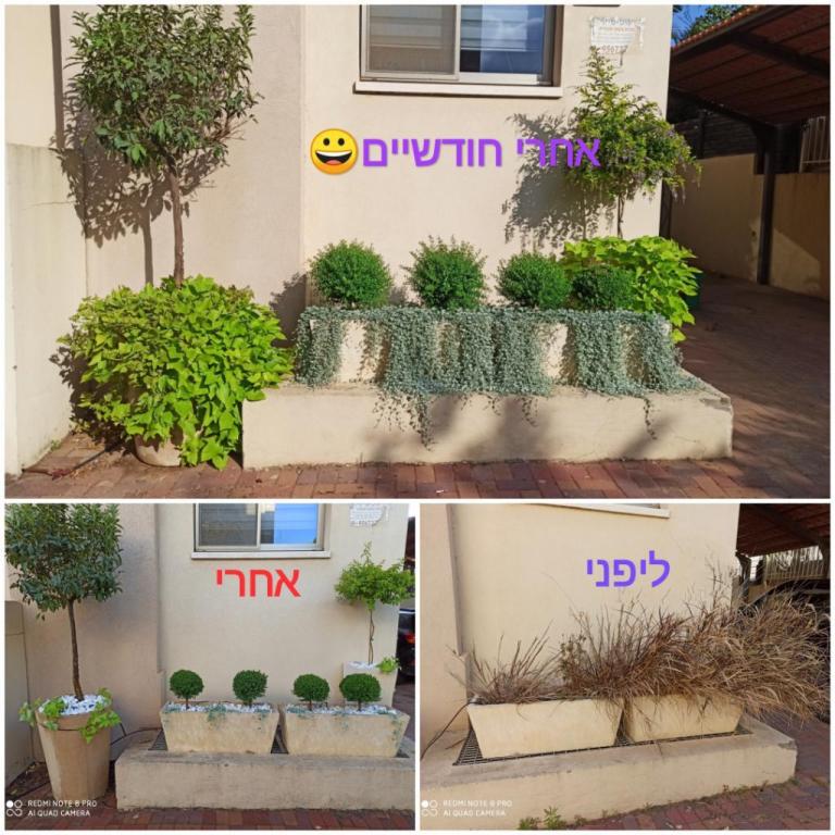 Y.M Garden Design Y.M Garden Design