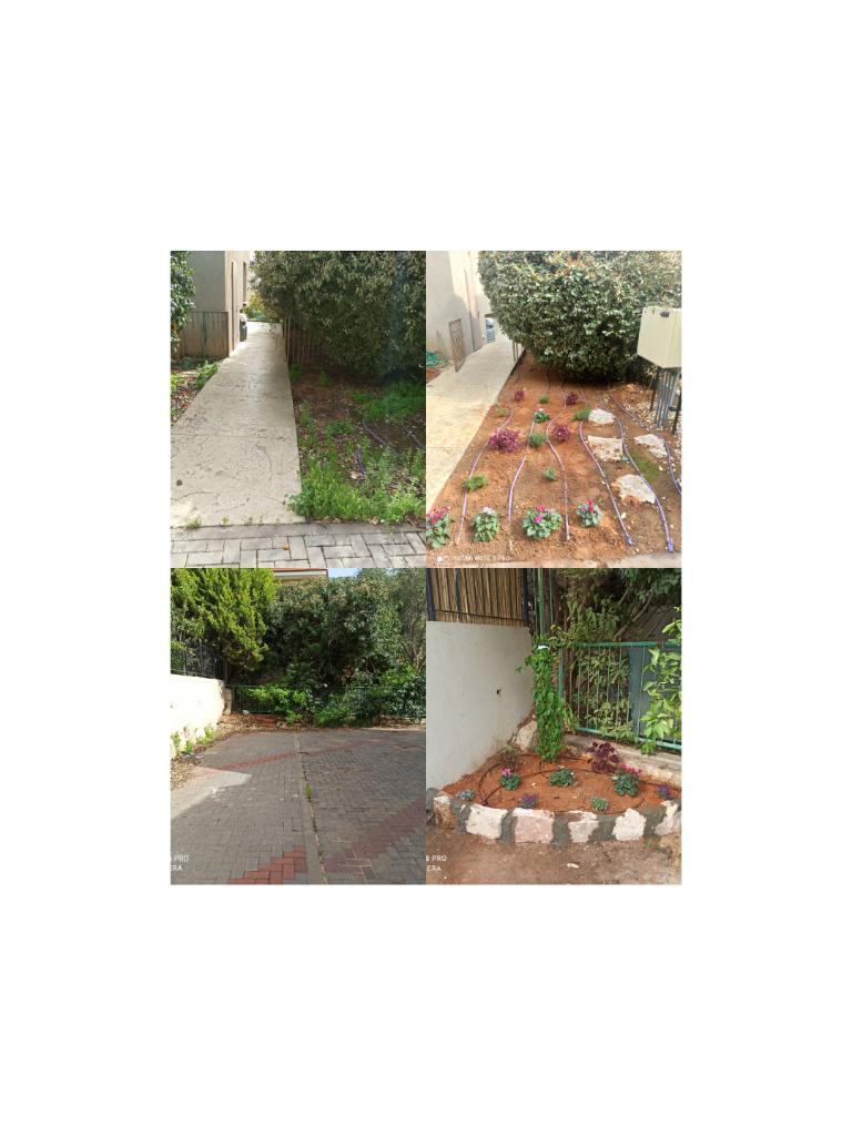 Y.M Garden Design Y.M Garden Design