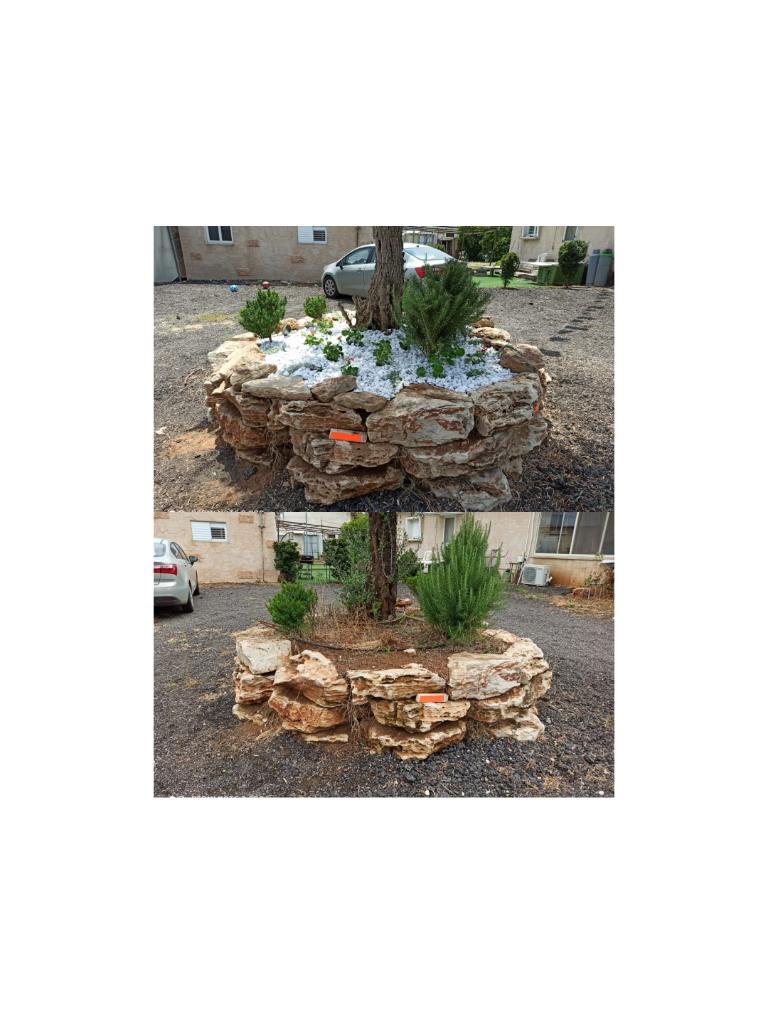 Y.M Garden Design Y.M Garden Design