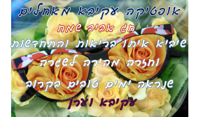 אופטיקה עקיבא