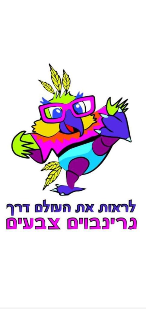 גרינבוים נתן גרינבוים נתן
