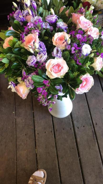 אביבוש חיוך של פרחים אביבוש חיוך של פרחים