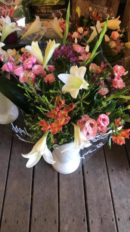 אביבוש חיוך של פרחים אביבוש חיוך של פרחים