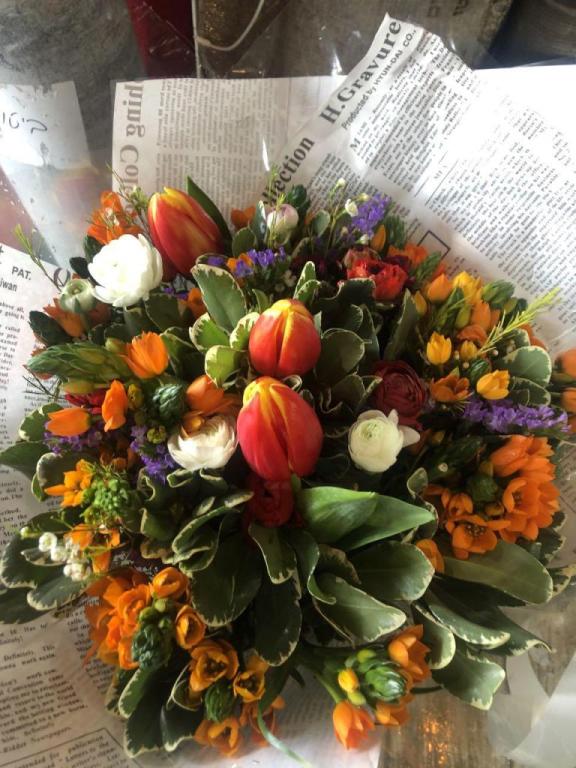 אביבוש חיוך של פרחים אביבוש חיוך של פרחים