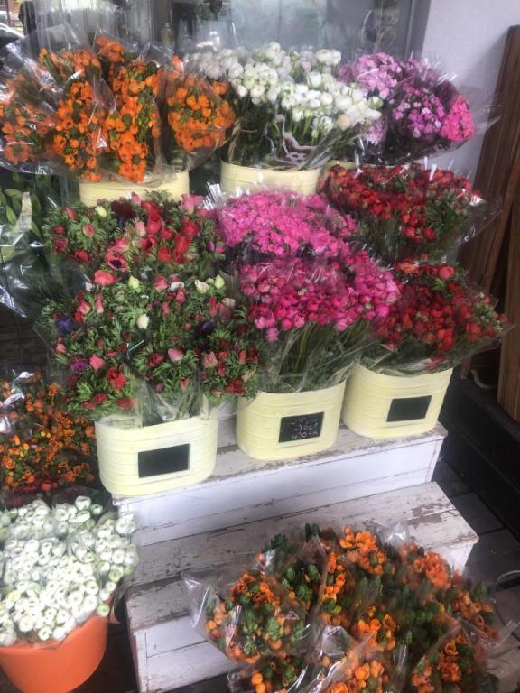 אביבוש חיוך של פרחים אביבוש חיוך של פרחים