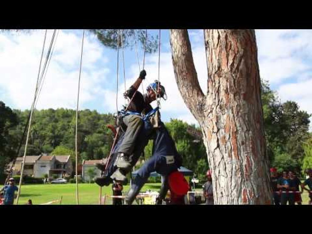 ALONIMSHOP ALONIMSHOP