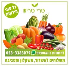 טרי טרי י.ר