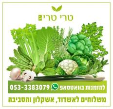 טרי טרי י.ר