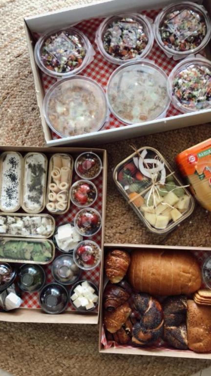 פרי הגפן פרי הגפן