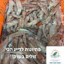 אייס פיש