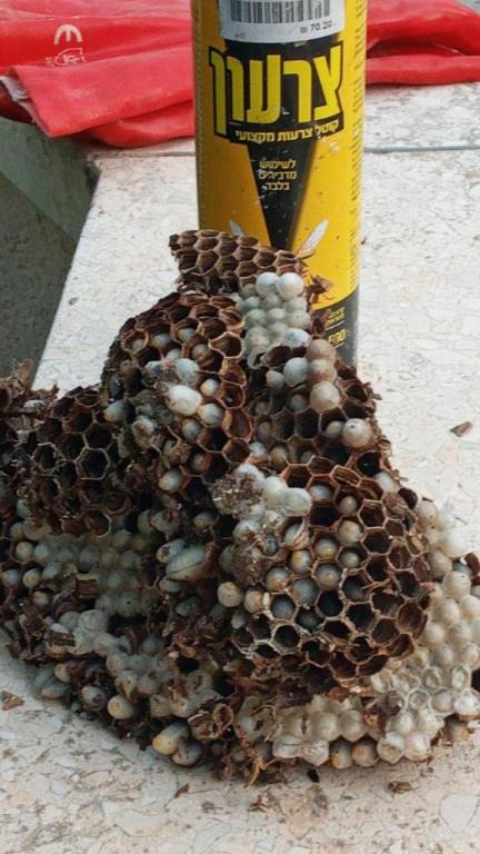 איי פי אם יוגב הדברות איי פי אם יוגב הדברות