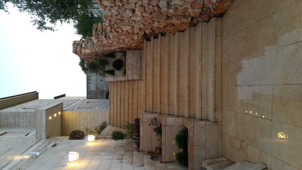 אלירן הגנן אלירן הגנן