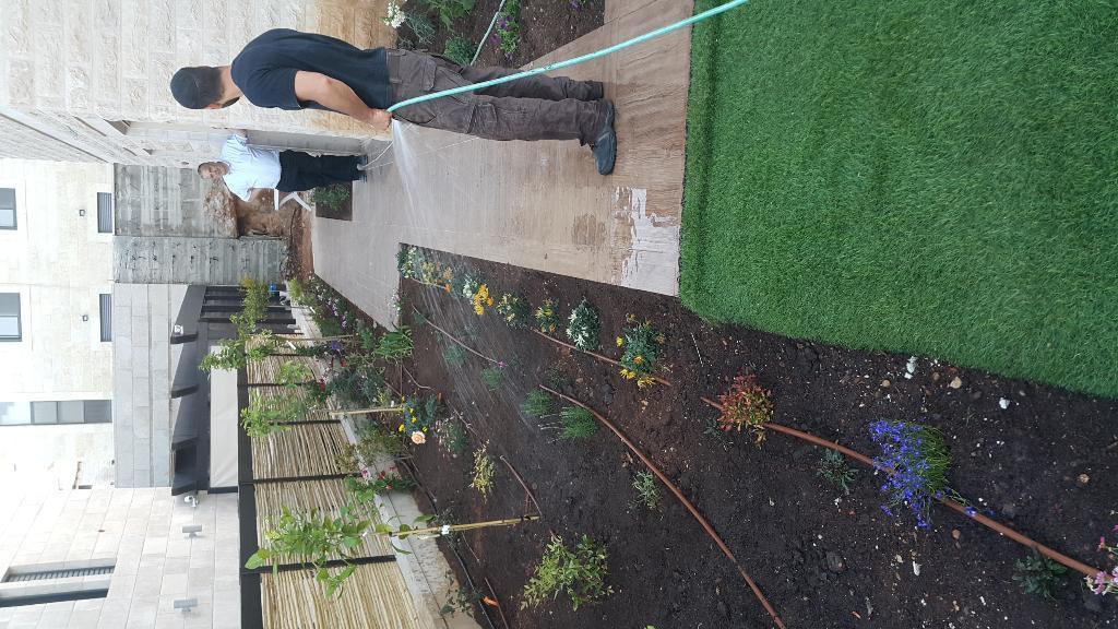 אלירן הגנן אלירן הגנן