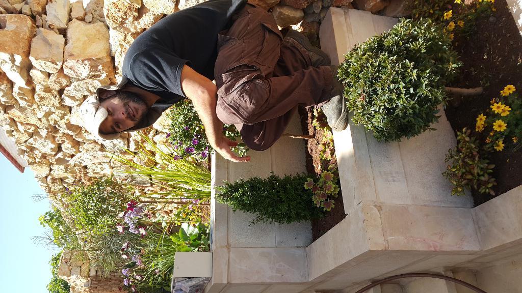 אלירן הגנן אלירן הגנן