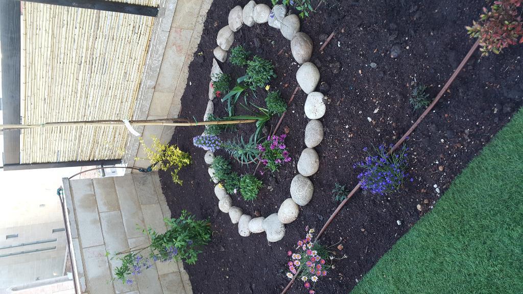 אלירן הגנן אלירן הגנן